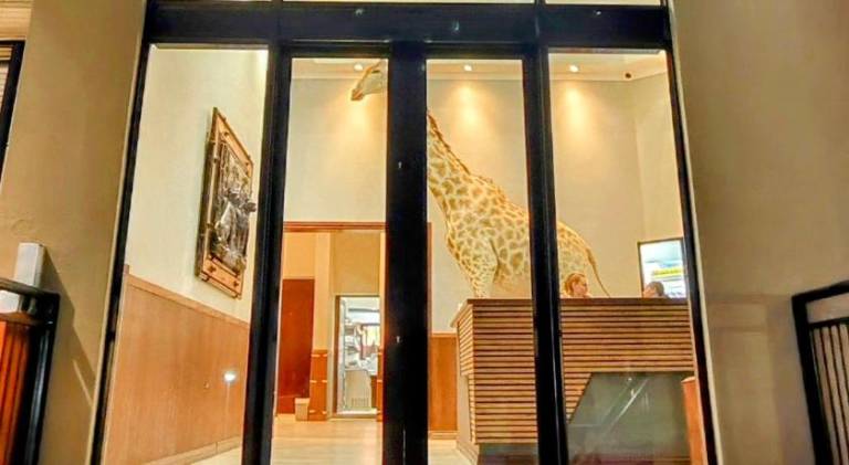 Lodge Spitskop Small Holdings