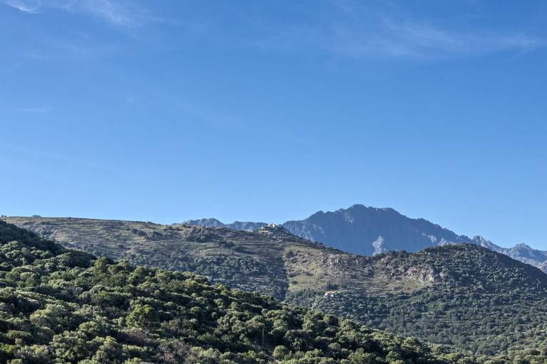 foto45