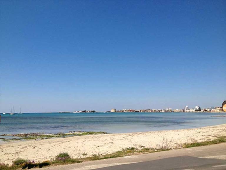 Child-friendly holiday apartment with yard | Next to the beach | Pets are welcome — photo 3