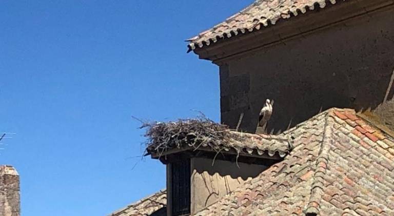Apartamento Alba de Tormes