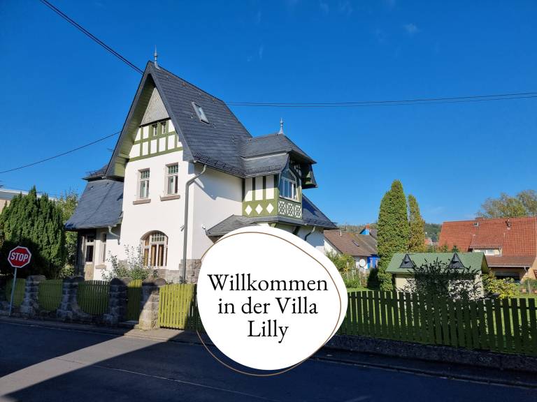 Villa  Höhr-Grenzhausen
