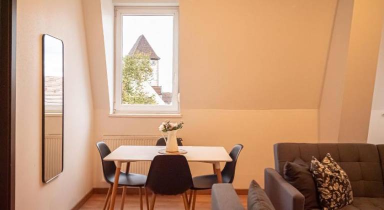 COSY’HOME Ravissant appartement bien situe Mulhouse — photo 4