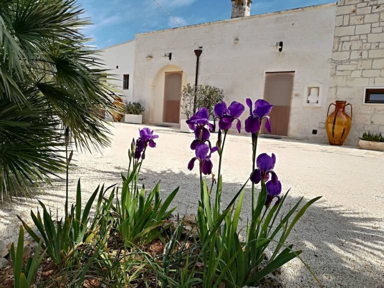 Bed & Breakfast Carovigno