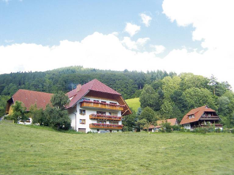 Ferienwohnung  Haslach im Kinzigtal