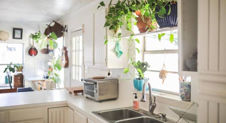 Charming rental apartment | Pets allowed in Austin, TX
