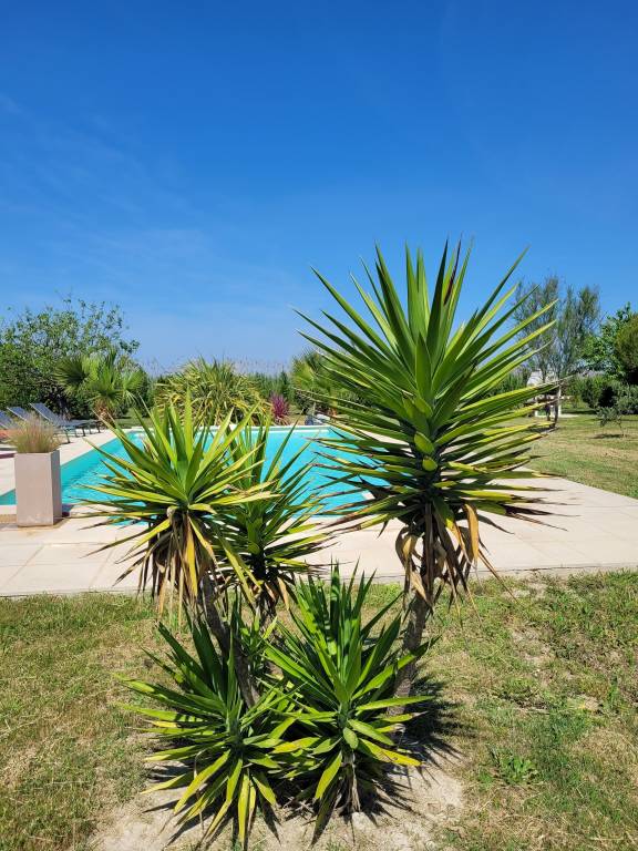 Villa Arles