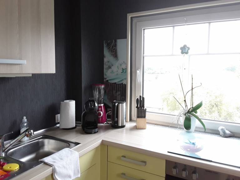 foto7