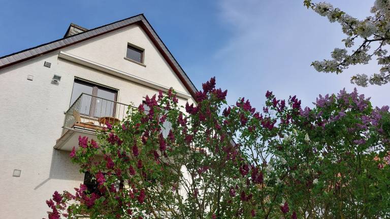 Apartment  Villmar