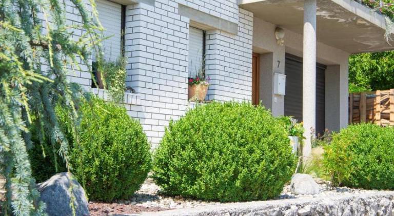 Apartma Irje