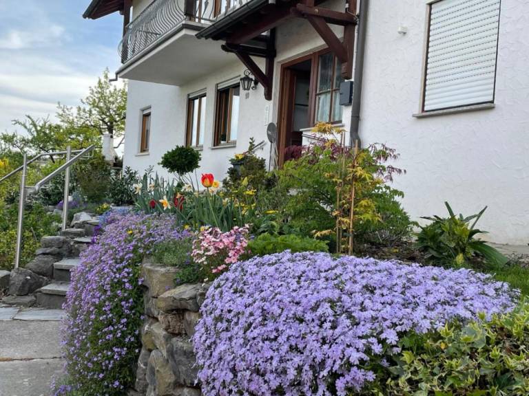 foto48