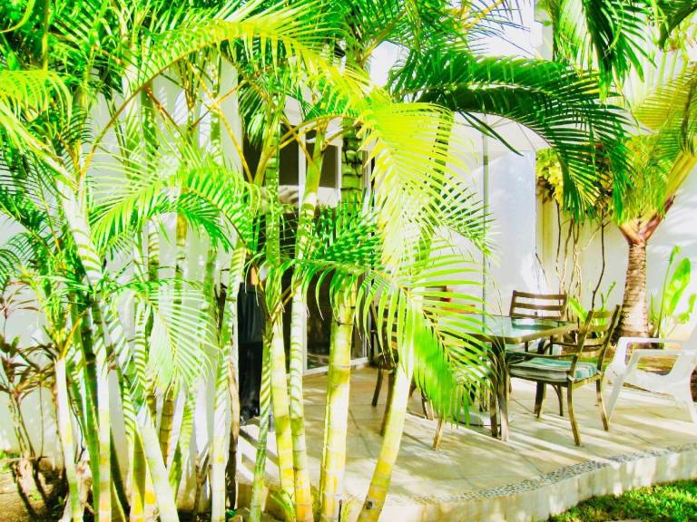 Apartamento  Playacar
