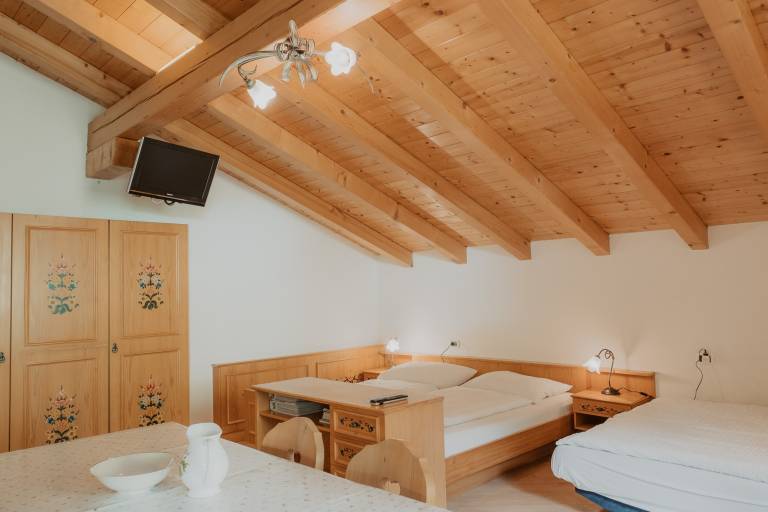 Studio 'Gogererhof App Maria' with Mountain View, Balcony & Wi-Fi — photo 4