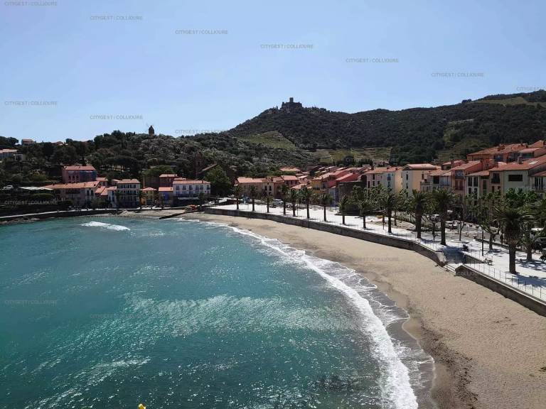 Apartment with terrace in Collioure