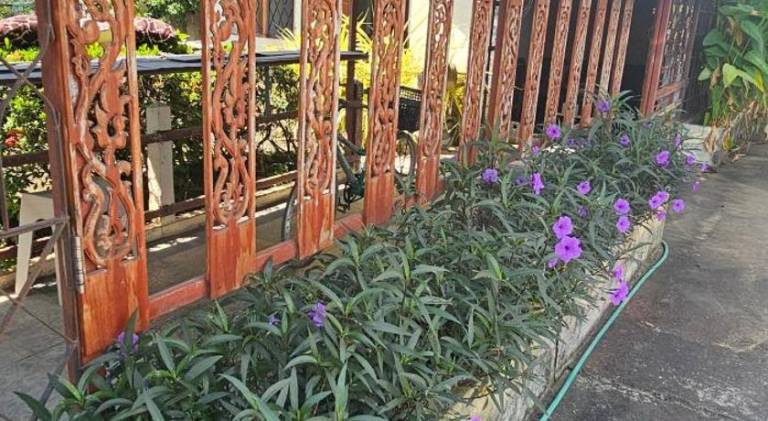 foto13