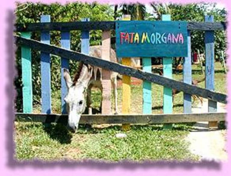 Fata Morgana in Las Terrenas