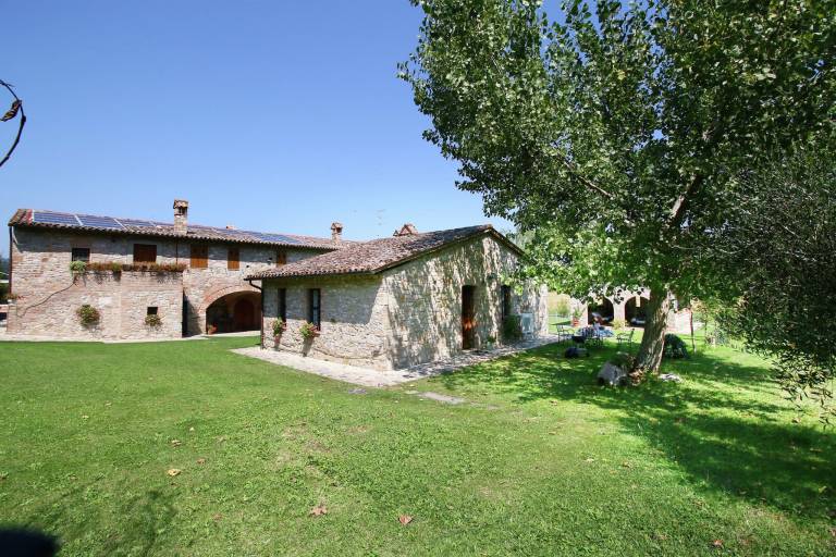 foto7