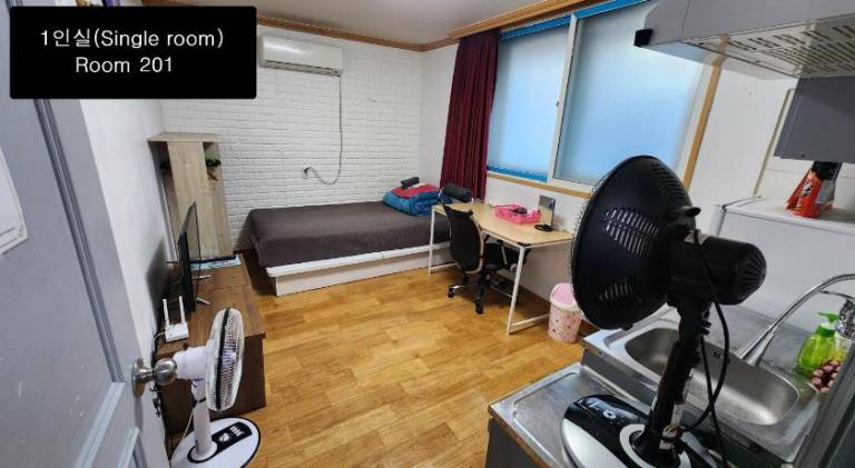 foto11