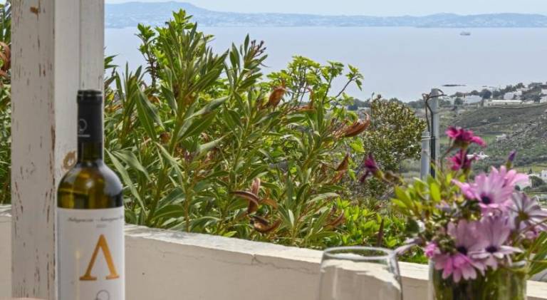 Holiday apartment with 1 room for 4 persons in Tinos