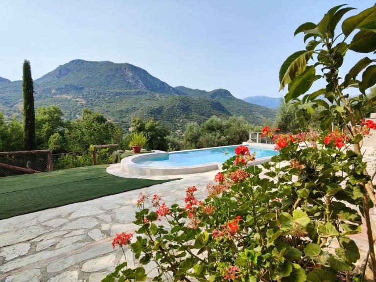 House with yard, private pool & patio — photo 4