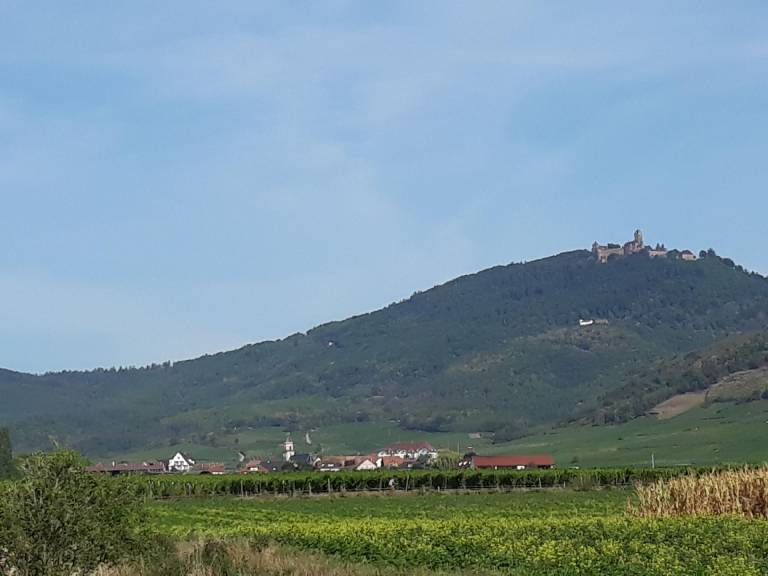 foto19