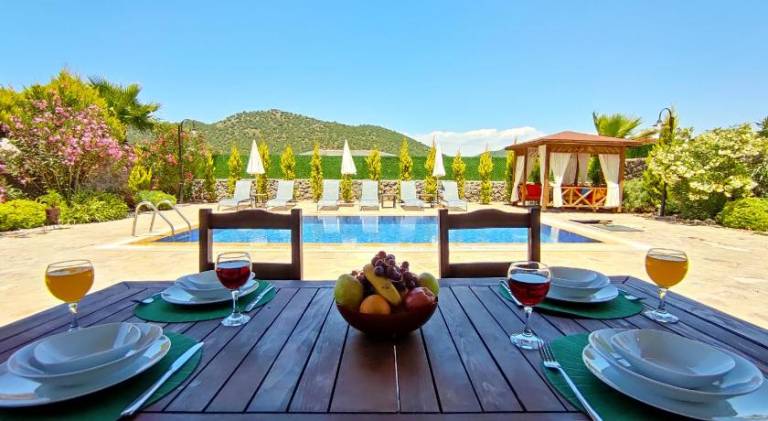 Villa with barbeque, private pool & yard — photo 3