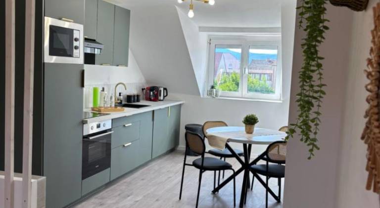Wonderful holiday apartment | Pet-friendly in Colmar