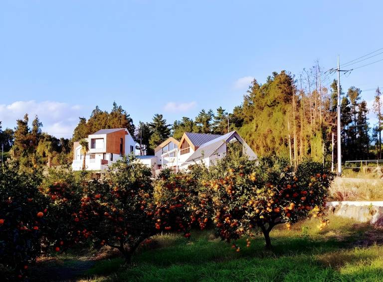 Jeju Stay Walden
