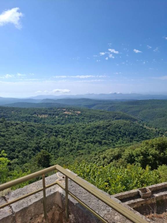 Gite with yard & patio in Grasse