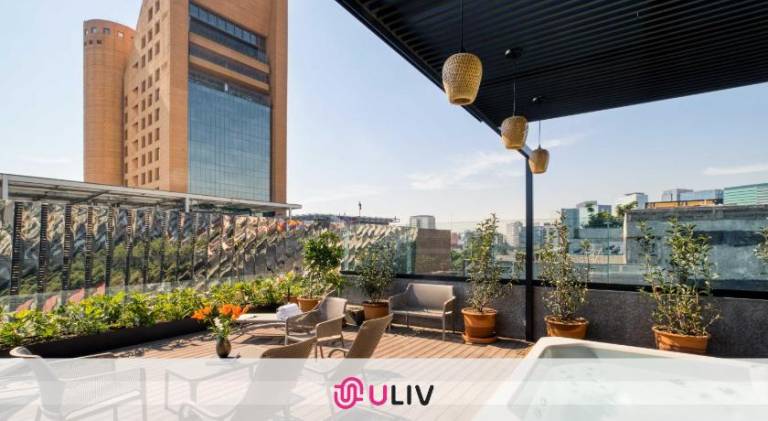 Wonderful serviced apartment with patio & jacuzzi | Pets are welcome in Mexico City