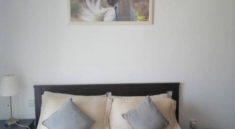 foto32