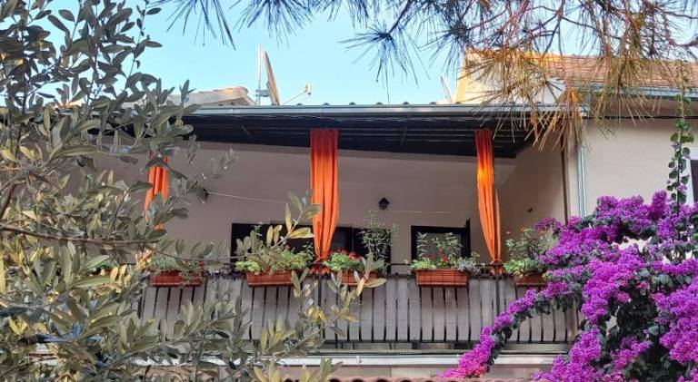 Rental apartment with patio | Close to the beach | Pets allowed — photo 4
