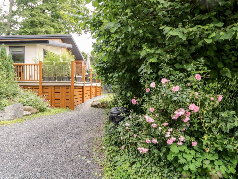 Cottage with yard — photo 2