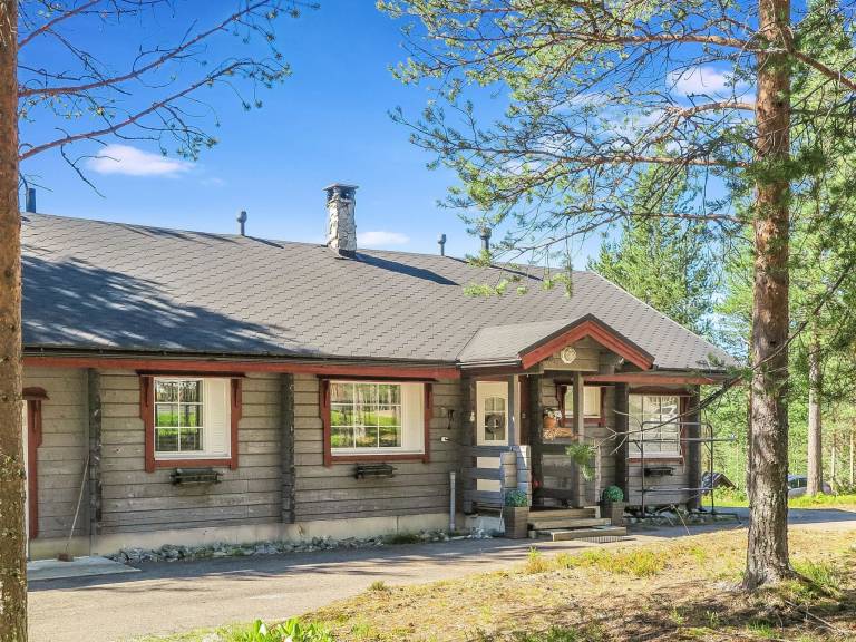 Vacation home with sauna & terrace — photo 2