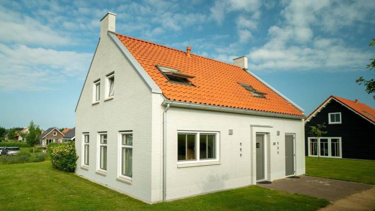 Ferienhaus mit Hund in Nieuwvliet, Holland Nordsee, Holland