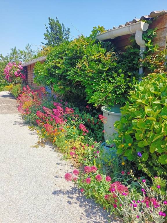 Charming gite with terrace & yard | Dogs allowed — photo 3