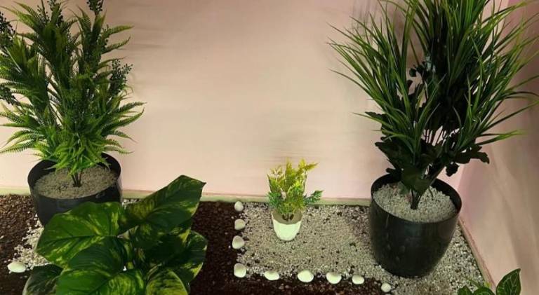 foto10