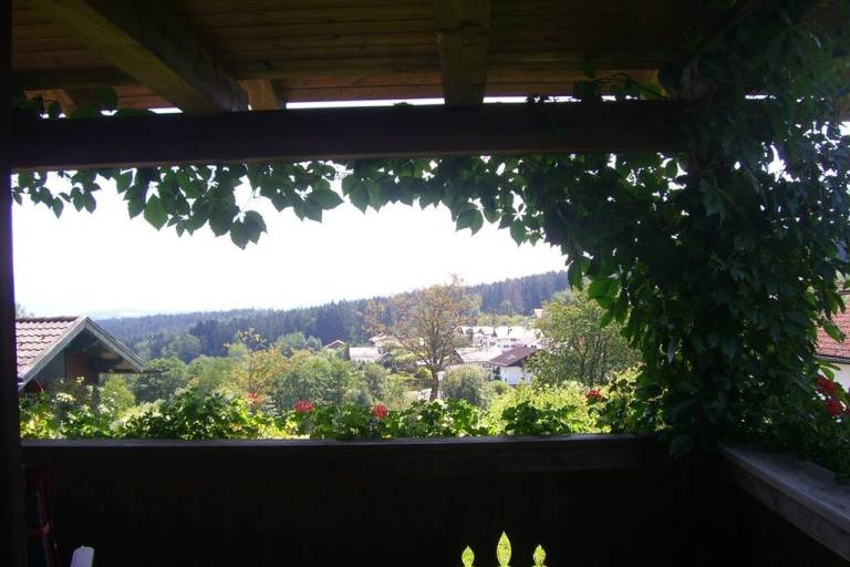 foto6