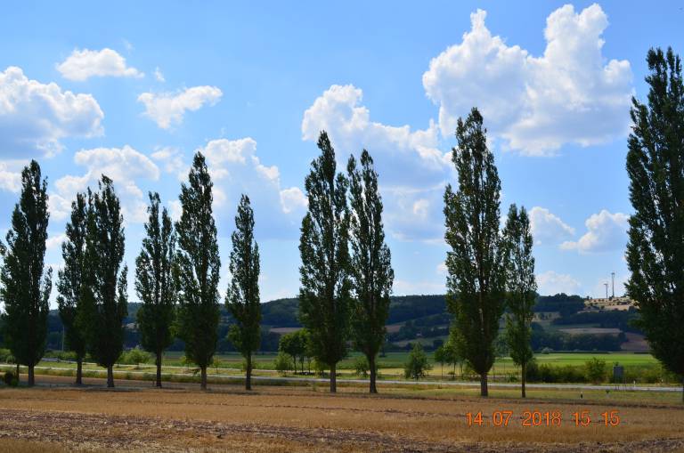 Suite Itzgrund FZ