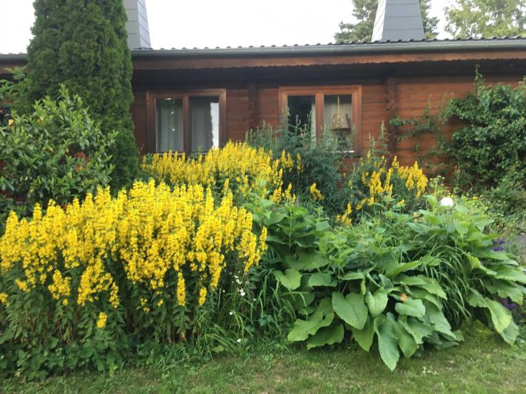 Ferienhaus Reinhardshausen
