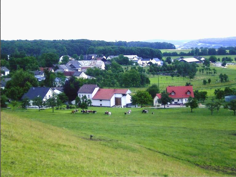 foto42