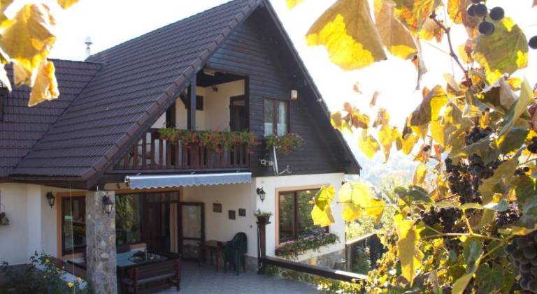 House with pool — photo 4