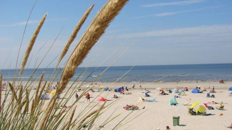Ferienhaus Petten