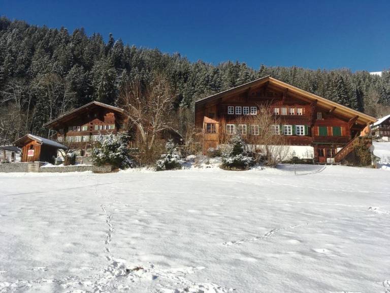 Appartement  Zweisimmen
