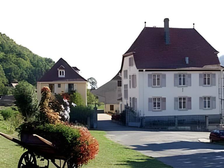 Rental apartment with yard & terrace in Thann