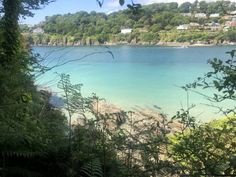 House Salcombe