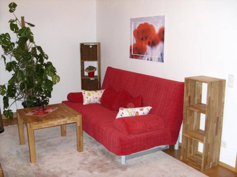 foto1