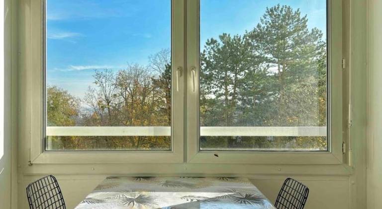 Charming rental apartment | Pets are welcome — photo 3