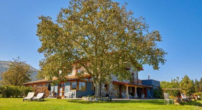 Apartamento  Vergara