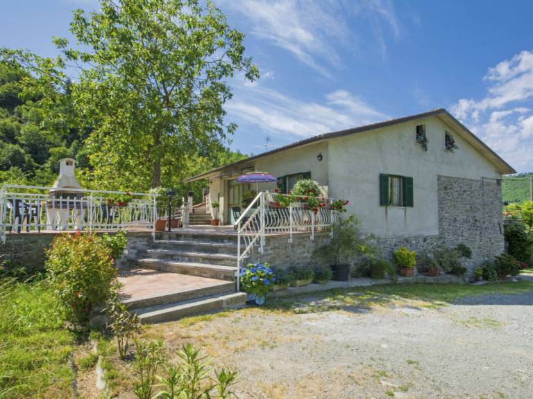 foto1