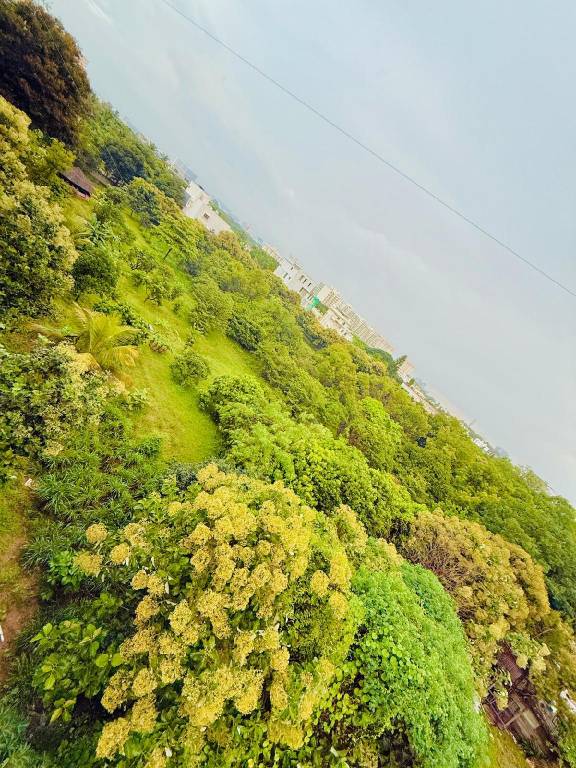 Nice vacation home | Pets allowed — photo 5